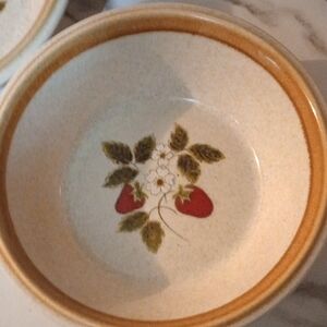 Mikasa Cream and Brown Dinnerware Bowl with Timeless Elegance